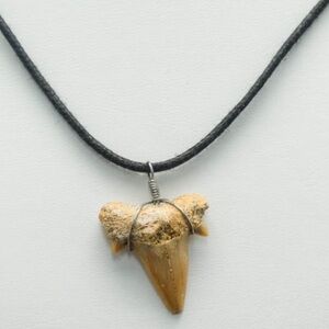 Shark Tooth Pendant With Black Cord Necklace